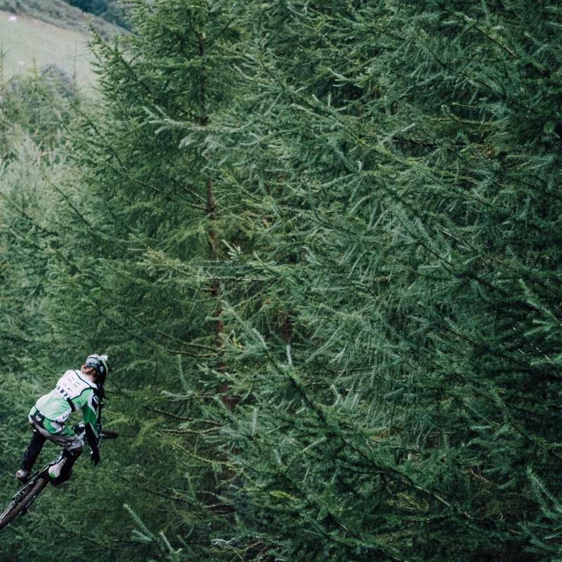 Reflets dans une cour